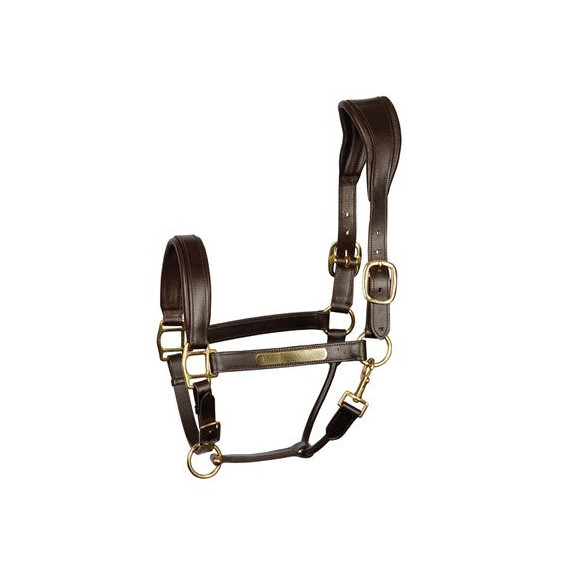 Skórzany Kantar Anatomic Harry's Horse