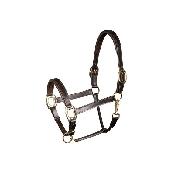 Skórzany Kantar Harry's Horse