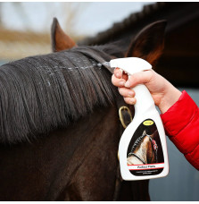 Spray do Zaplatania Perfect Plaits Smart Grooming