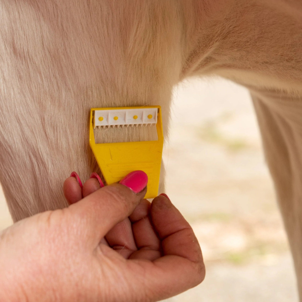 Trymer Equi-Shave Smart Grooming