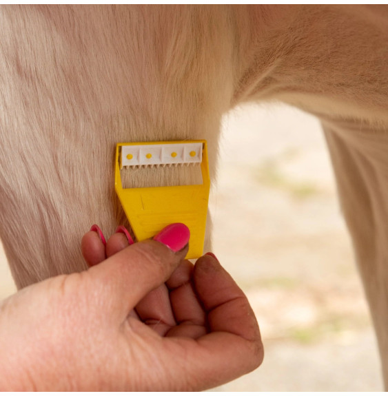 Trymer Equi-Shave Smart Grooming