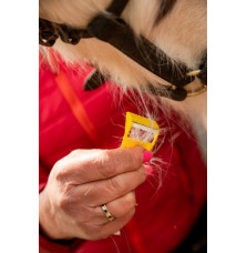 Trymer Equi-Shave Smart Grooming