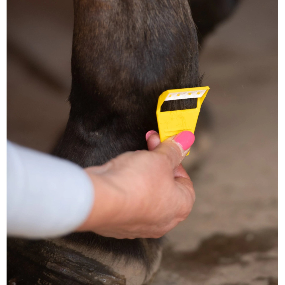 Trymer Equi-Shave Smart Grooming