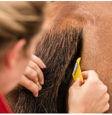 Trymer Equi-Shave Smart Grooming