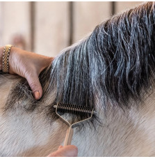 Trymer do Grzywy Smart Manes Smart Grooming