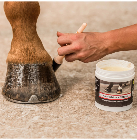 Smar do Kopyt Hoof Shine Smart Grooming