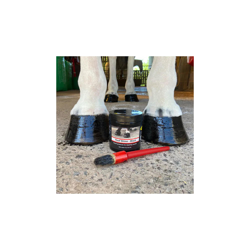 Smar do Kopyt Hoof Shine Smart Grooming