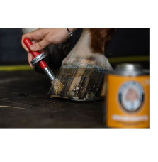 Olej Do Kopyt Mocne Kopyta Doctor Horse