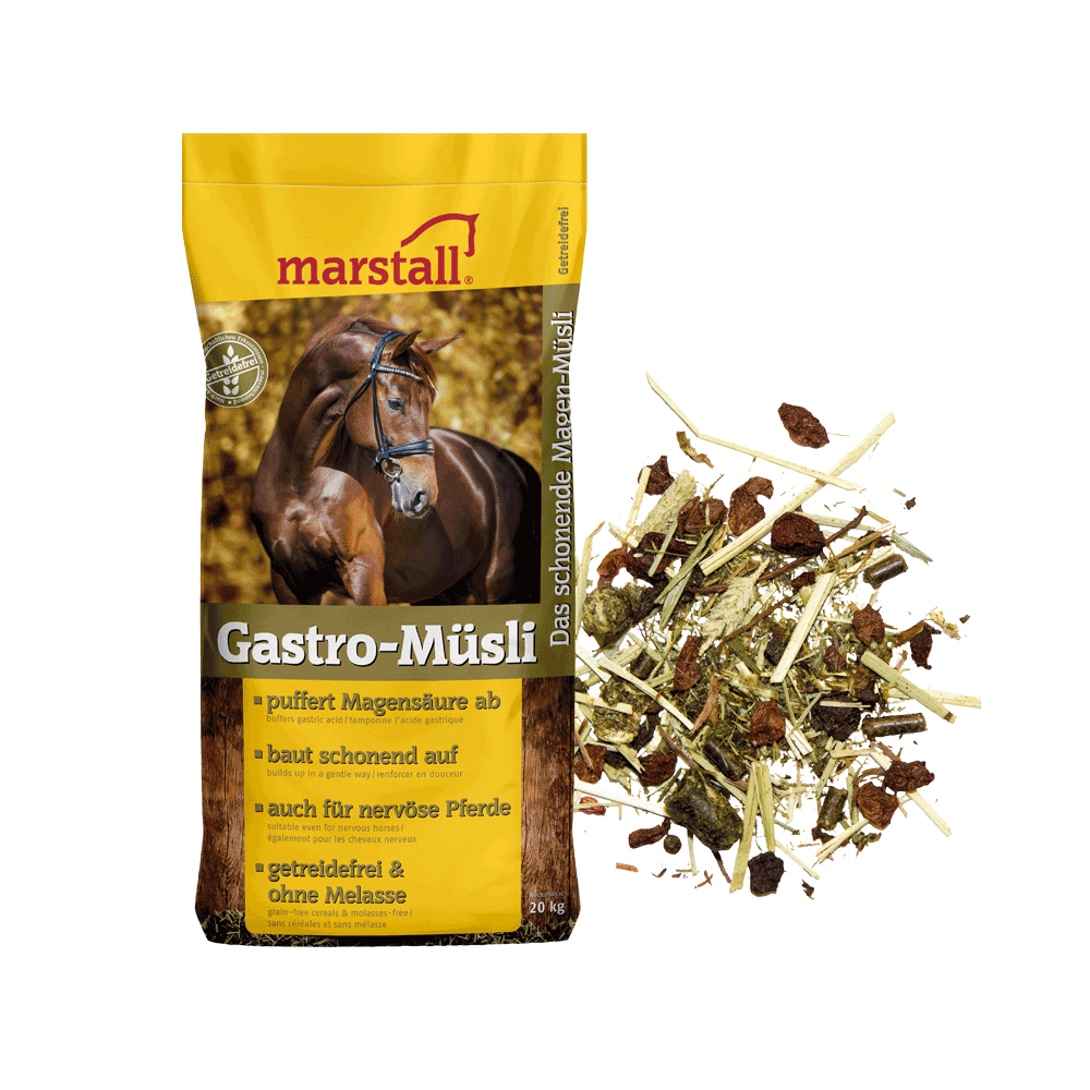 Pasza dla Koni Wrzodowych Gastro-Müsli Marstall