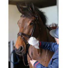 Chusteczki Belvoir Tack Cleaner Mitt Carr&Day&Martin