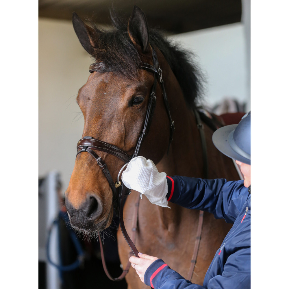 Chusteczki Belvoir Tack Cleaner Mitt Carr&Day&Martin