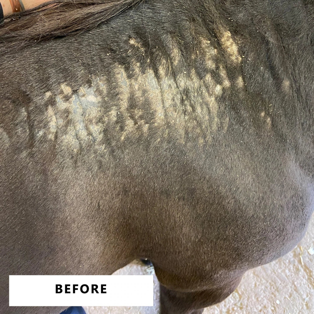 Balsam Łagodzący Swędzenie Itch Soothie Balm Smart Grooming