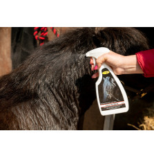 Odżywka w Spray'u Tame the Mane Smart Grooming