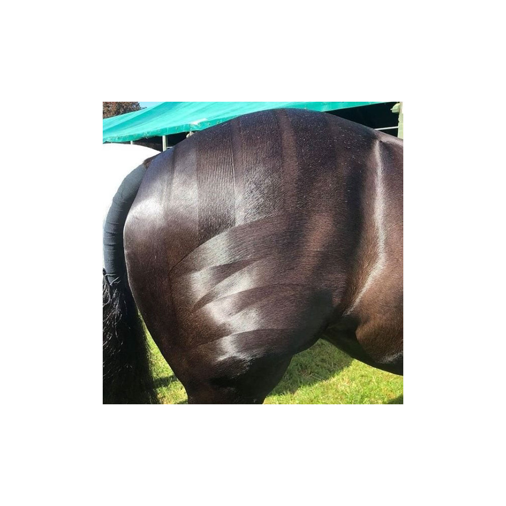 Spray do Robienia Wzorów Quarter Marking Spray Smart Grooming