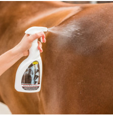 Spray do Robienia Wzorów Quarter Marking Spray Smart Grooming