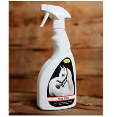 Suchy Szampon Polar White Smart Grooming