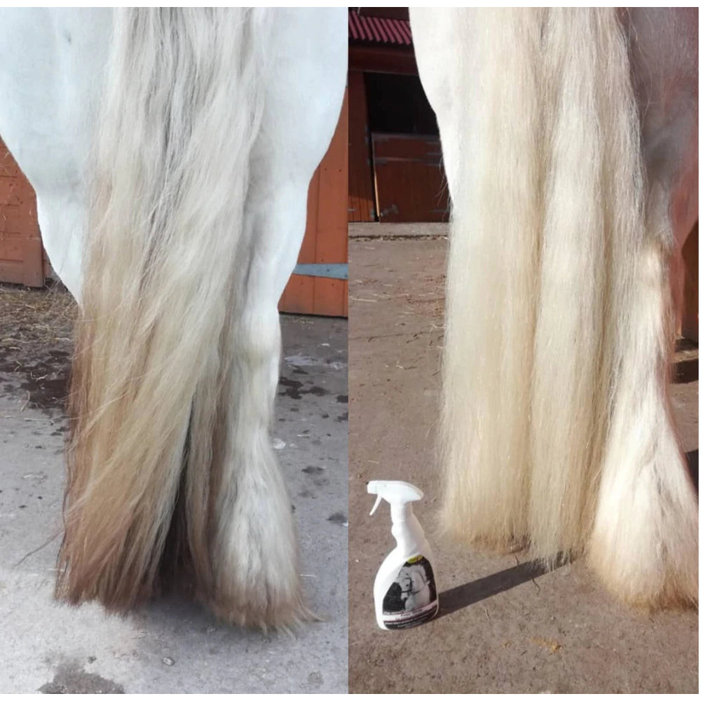 Suchy Szampon Polar White Smart Grooming