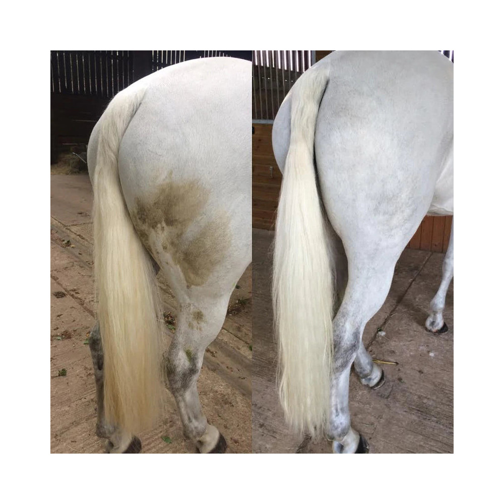 Suchy Szampon Polar White Smart Grooming