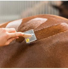 Szczotka Quarter Marking/Velcro Brush Smart Grooming