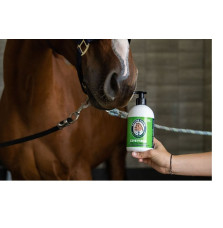 Szampon Czysty Koń Doctor Horse