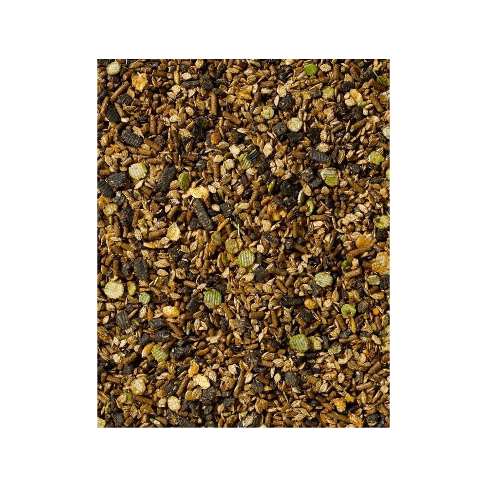 Musli Kentucky Balancer Saracen