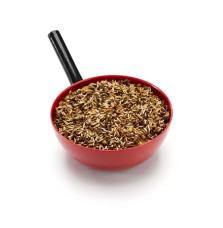 Musli Race 13 Saracen