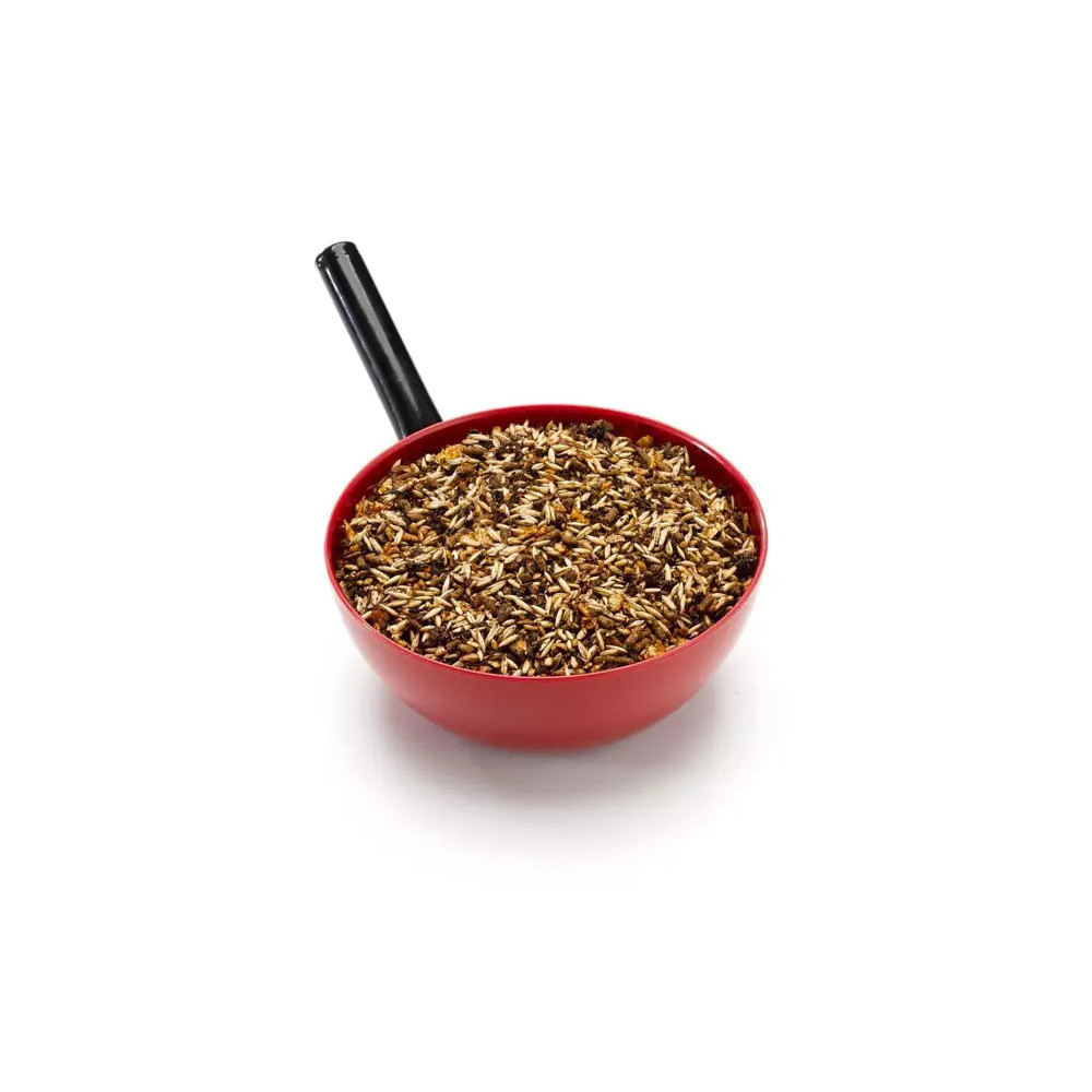 Musli Race 13 Saracen