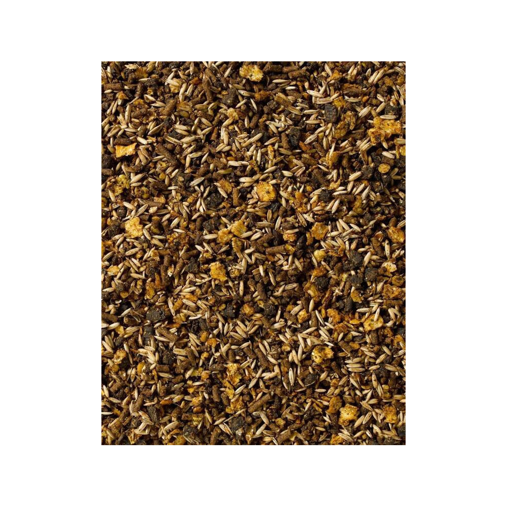 Musli Race 13 Saracen