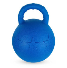 Piłka dla Konia York