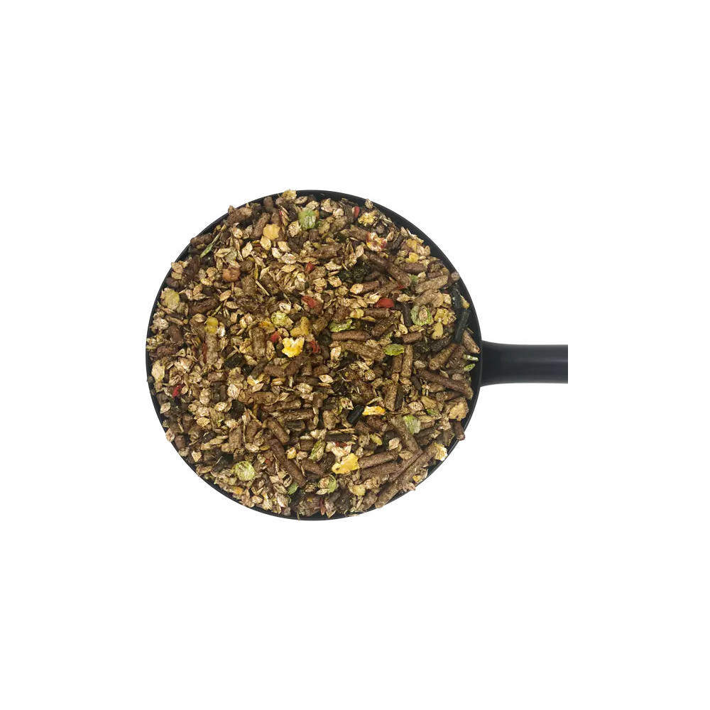 Pasza dla Koni Starszych Sixteen Plus Mix Dodson&Horrell