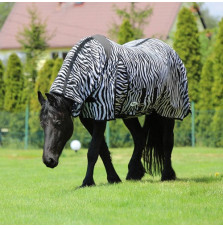 Derka Siatkowa z Kapturem Zebra York