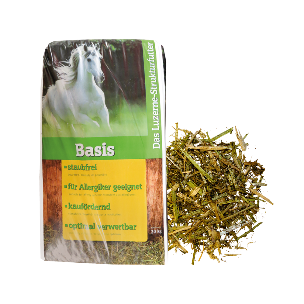 Sieczka Basis Marstall