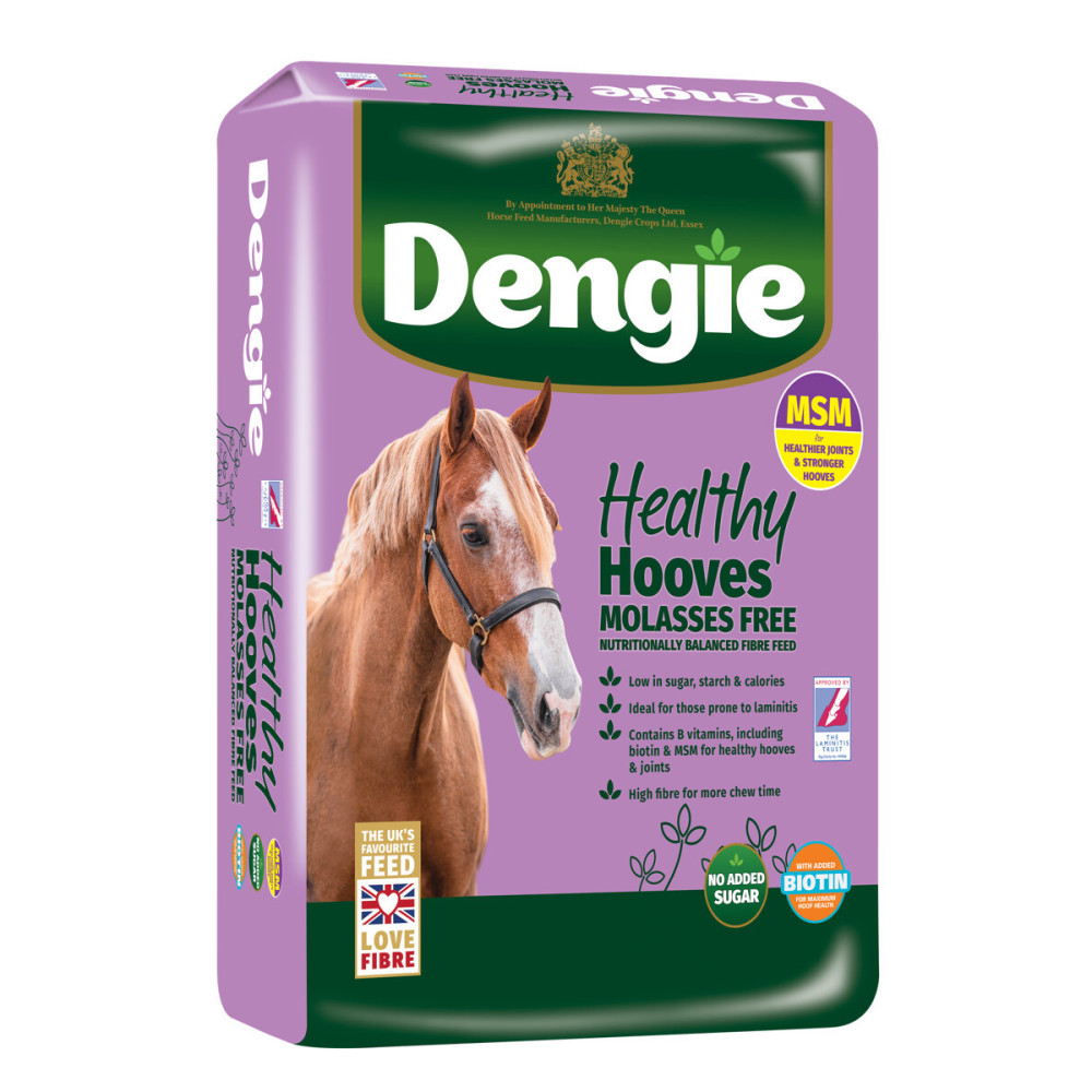 Sieczka Healthy Hooves Molasess Free Dengie