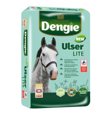 Sieczka Ulser Lite Dengie
