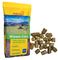 Trawokulki Wiesen-Cobs Marstall