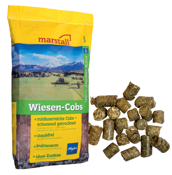 Trawokulki Wiesen-Cobs Marstall