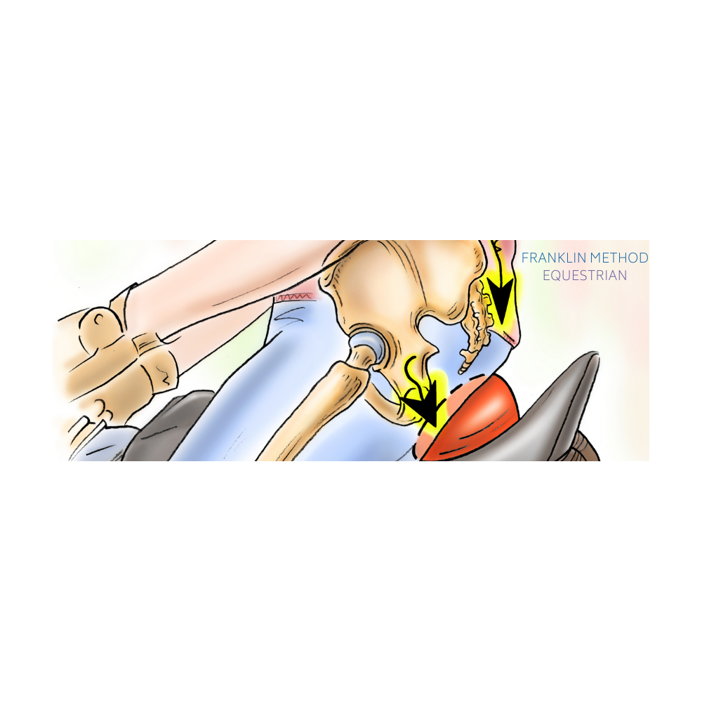 Rolka do Powięzi Franklin Method