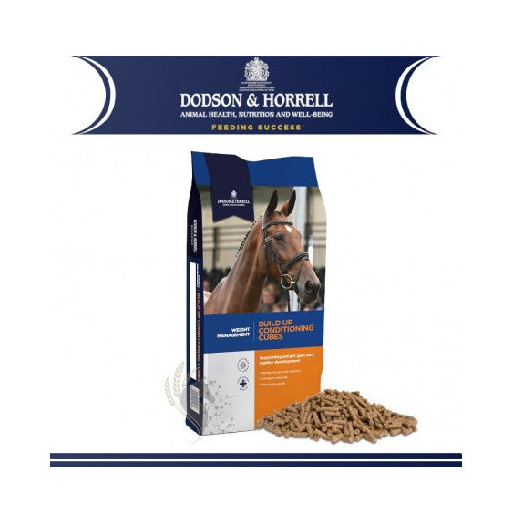 Pasza Build Up Cubes Dodson & Horrell