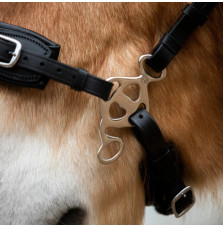 Czanki FR Equestrian