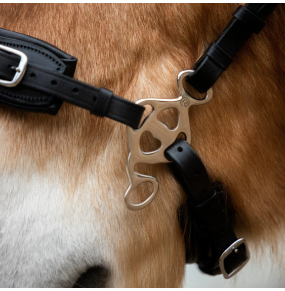 Czanki FR Equestrian