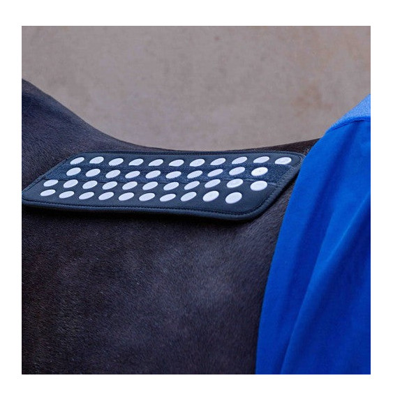 Mata do Akupresury na Plecy "Back Acupressure Mat" Accuhorsemat