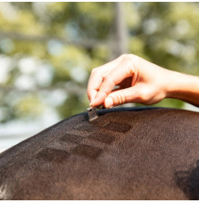 Grzebień do Znakowania Quarter Marking Comb Narrow Head