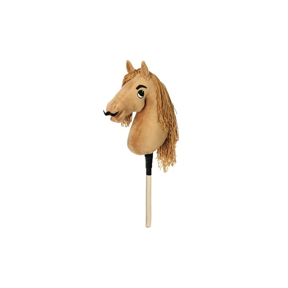 Hobby Horse Doctor Horse