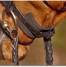 Piankowa Podkładka Pod Nachrapnik Kavalkade