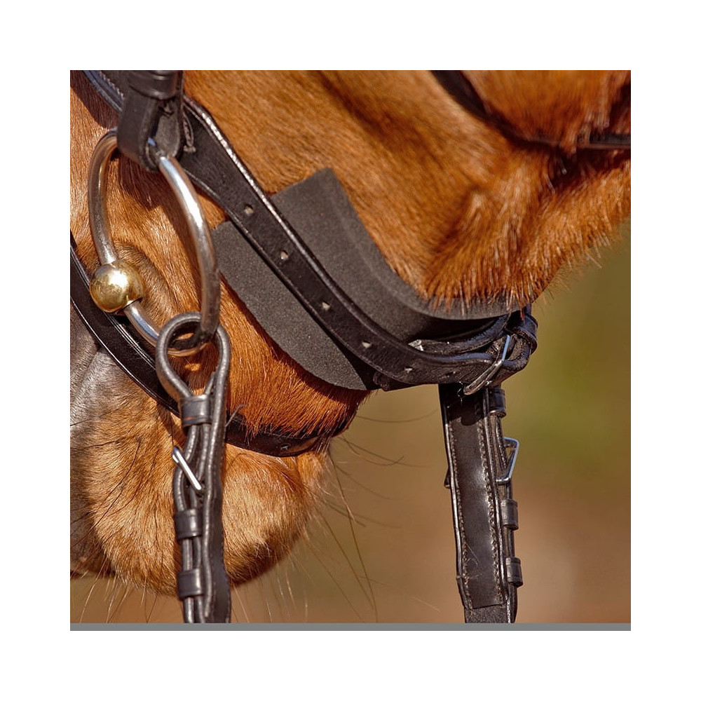 Piankowa Podkładka Pod Nachrapnik Kavalkade