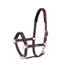 Kantar Sport Selection Basic Eskadron