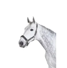 Kantar Sport Selection Basic Eskadron