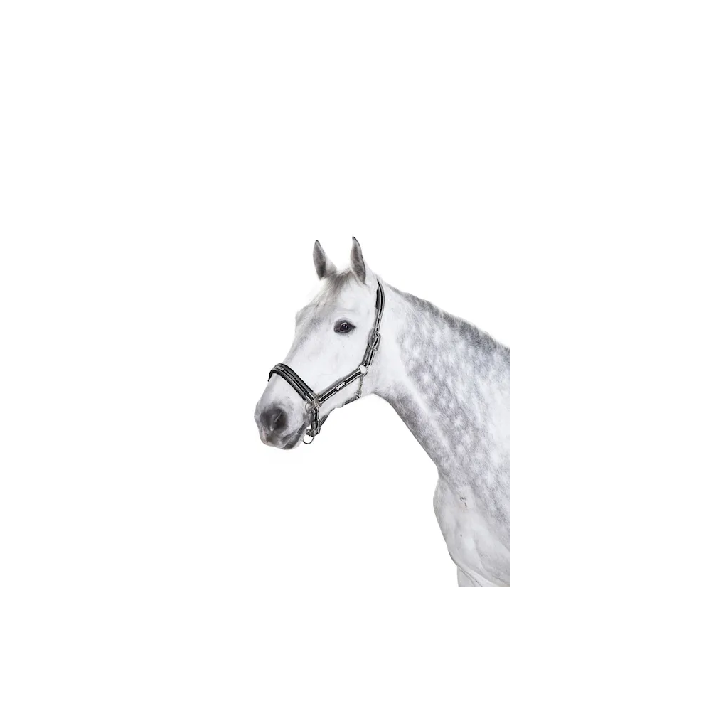 Kantar Sport Selection Basic Eskadron