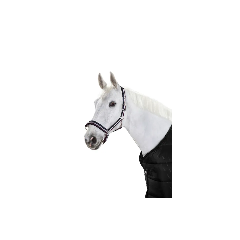 Kantar Sport Selection Basic Eskadron