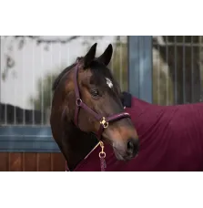 Kantar Sport Selection Basic Eskadron